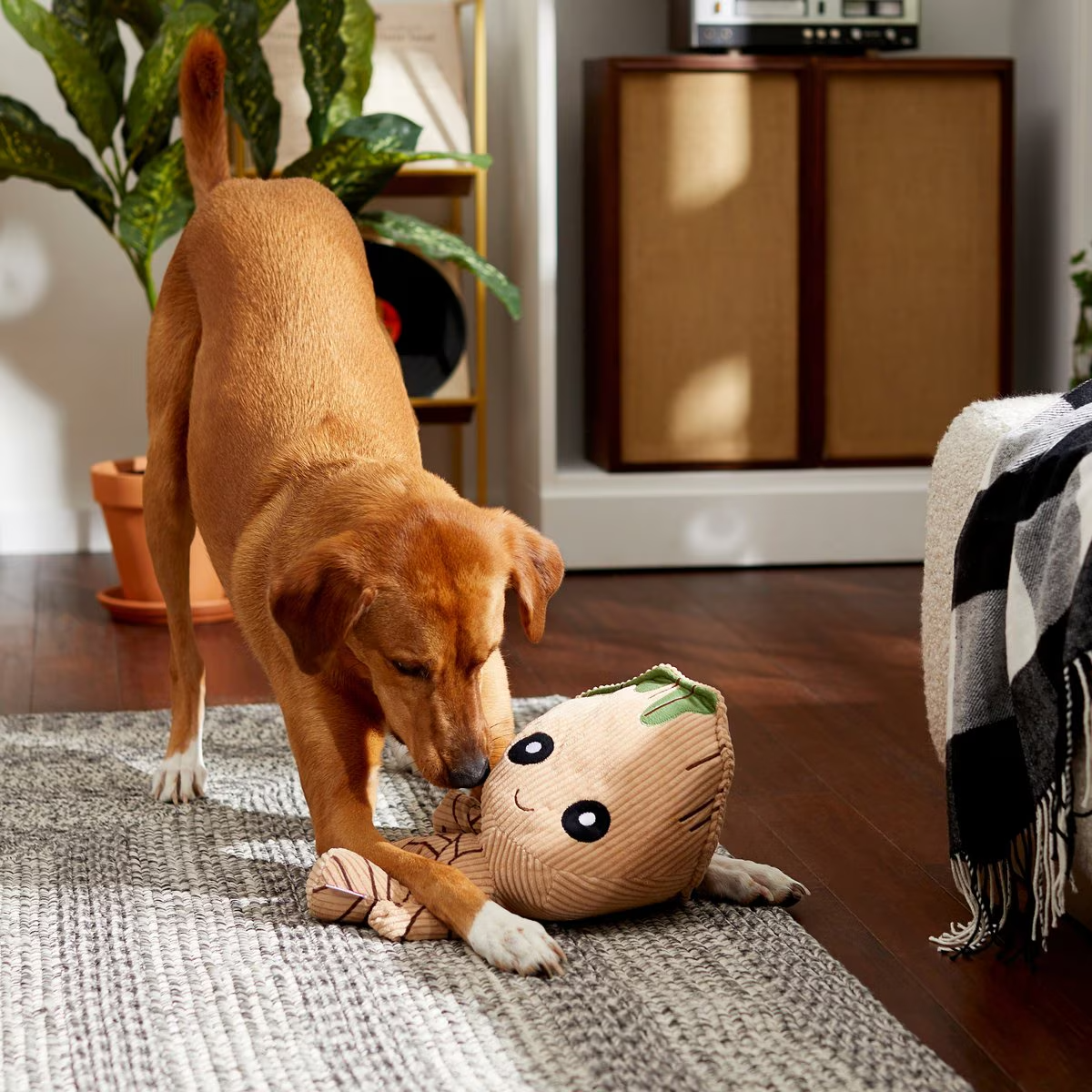 Chewy Groot Plush Dog Squeaky Toy 7' x 14' New Perfect for Medium and Large dogs